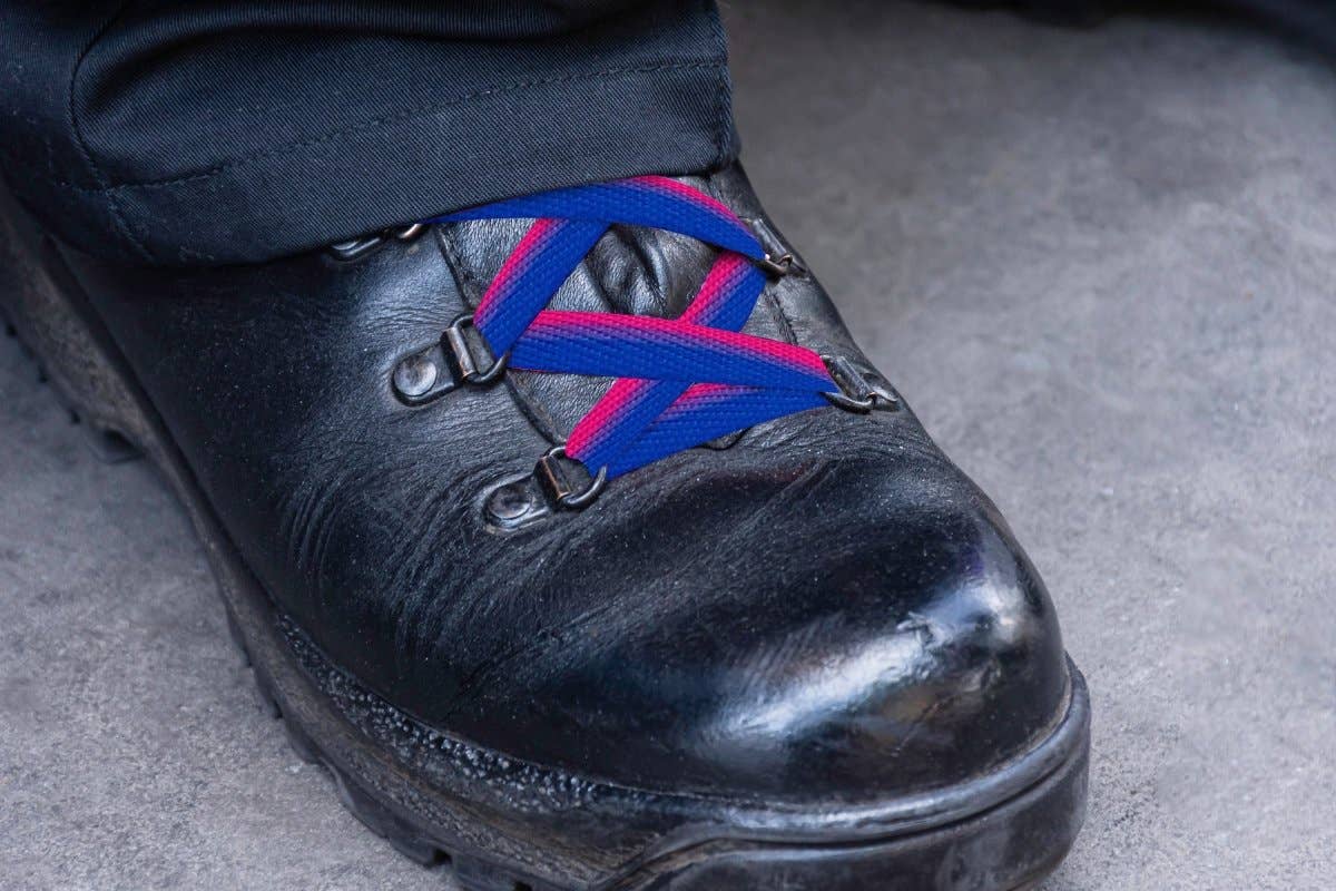 Bisexual Flag Shoe Laces (1 Pair): Yes / 1 Pair