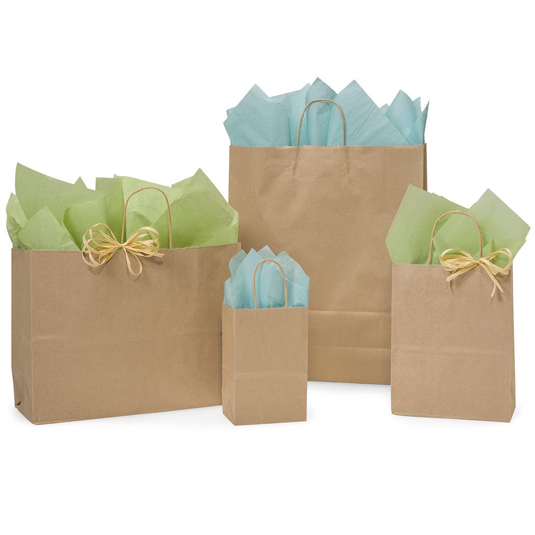 Recycled Brown Kraft Paper Retail Shopping Bags