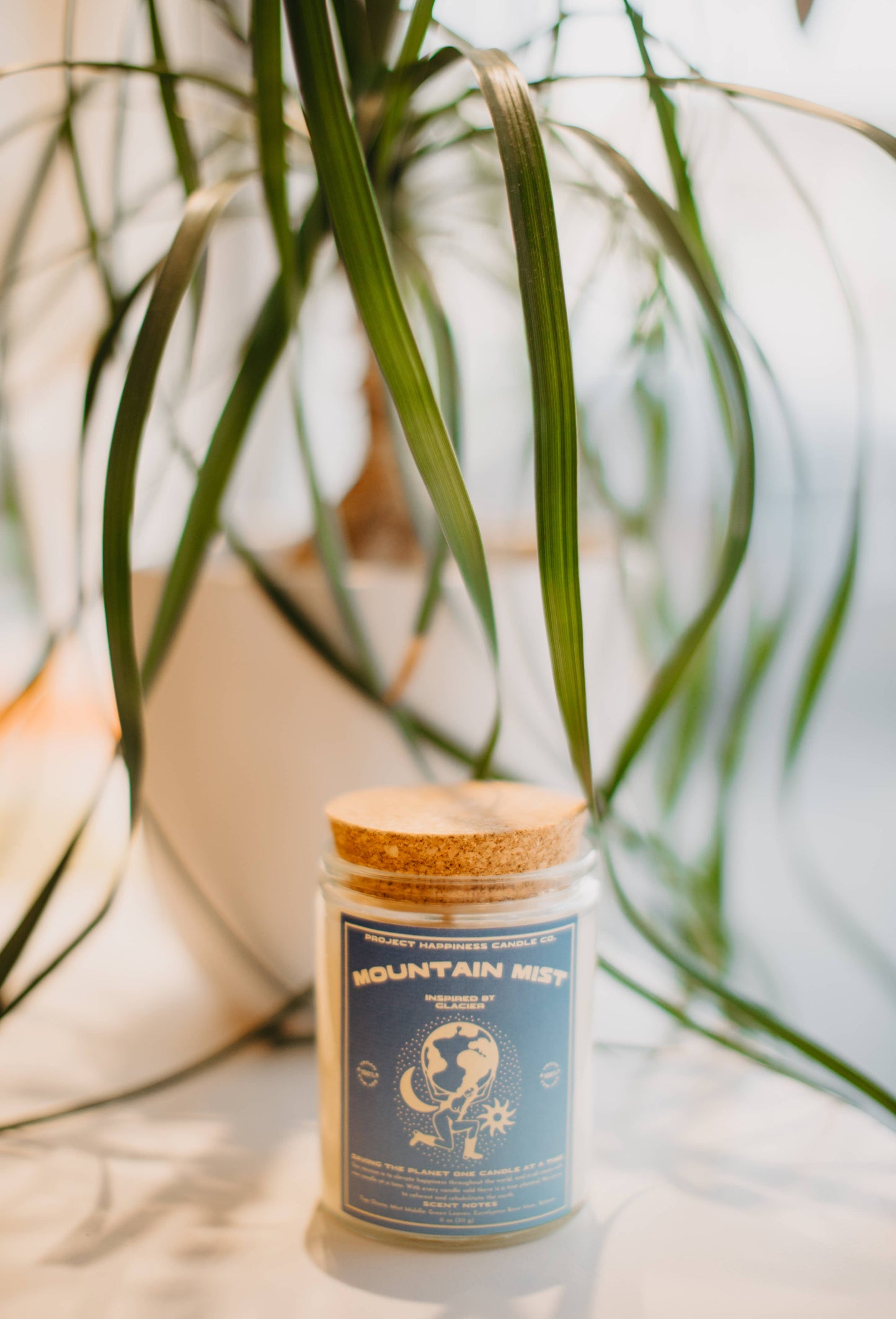 Mountain Mist Soy Candle - Glacier National Park 11oz