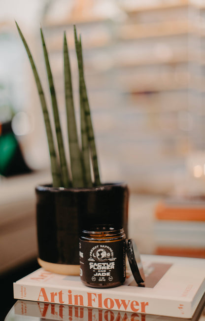 Cactus Flower and Jade