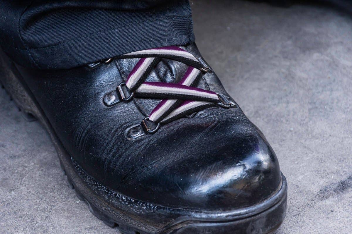 Asexual Flag Shoe Laces (1 Pair): Yes / 1 Pair