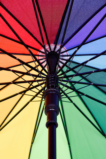 Rainbow 16 Panel Auto Open-fold Umbrella