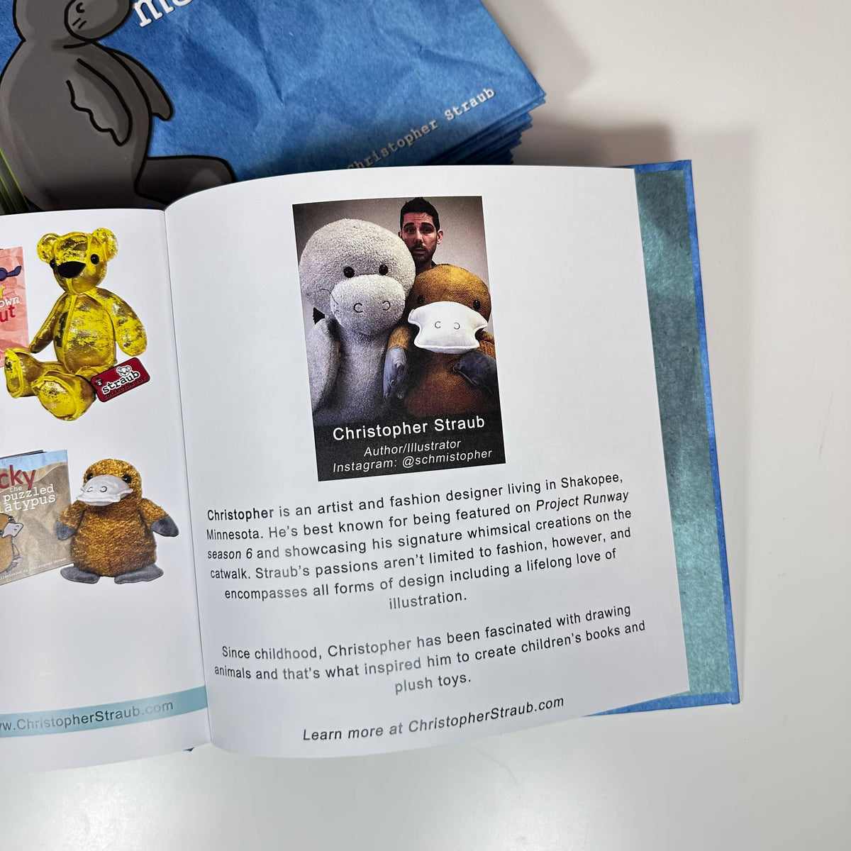 ALBERT THE CONFUSED MANATEE Hardcover Storybook