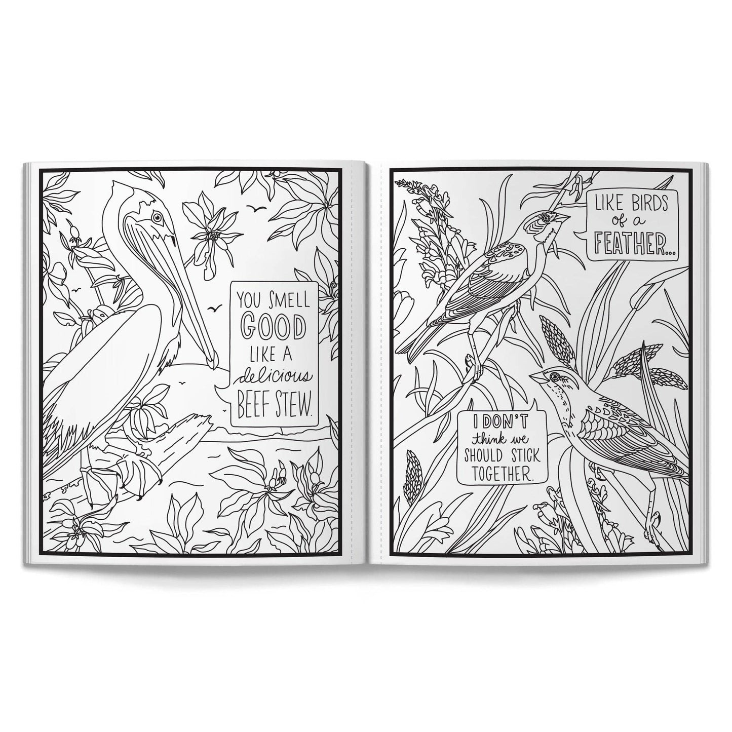 Brass Monkey Salty Birds Coloring Book
