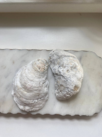 Blue Paisley Oyster Shell Jewelry Dish