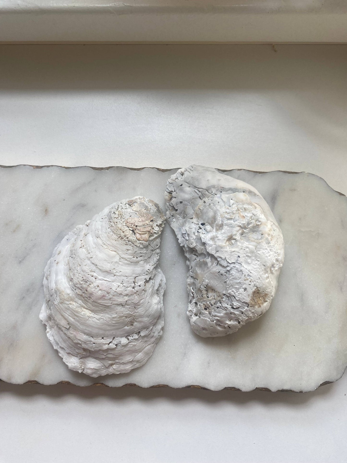 Cherry Blossom Oyster Shell Jewelry Dish